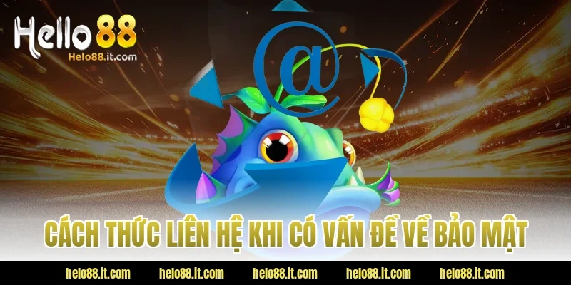 Cách Thức Liên Hệ Khi Có Vấn Đề Về Bảo Mật